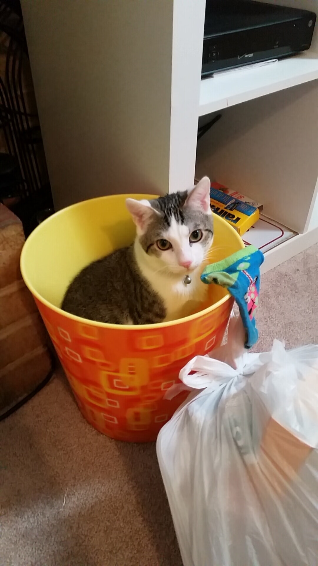 “西甲激烈争夺：多支豪门死磕榜首”，豪门三强挥金如土,赚足流量的西甲联赛迎来新伙伴