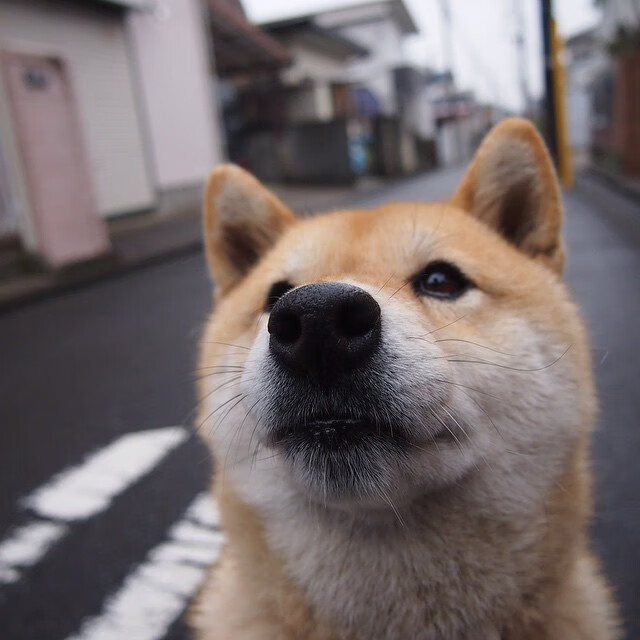 开云综合服务-《《守望先锋》迎来重大平衡调整，新英雄“未来之光”亮相》，守望先锋2022