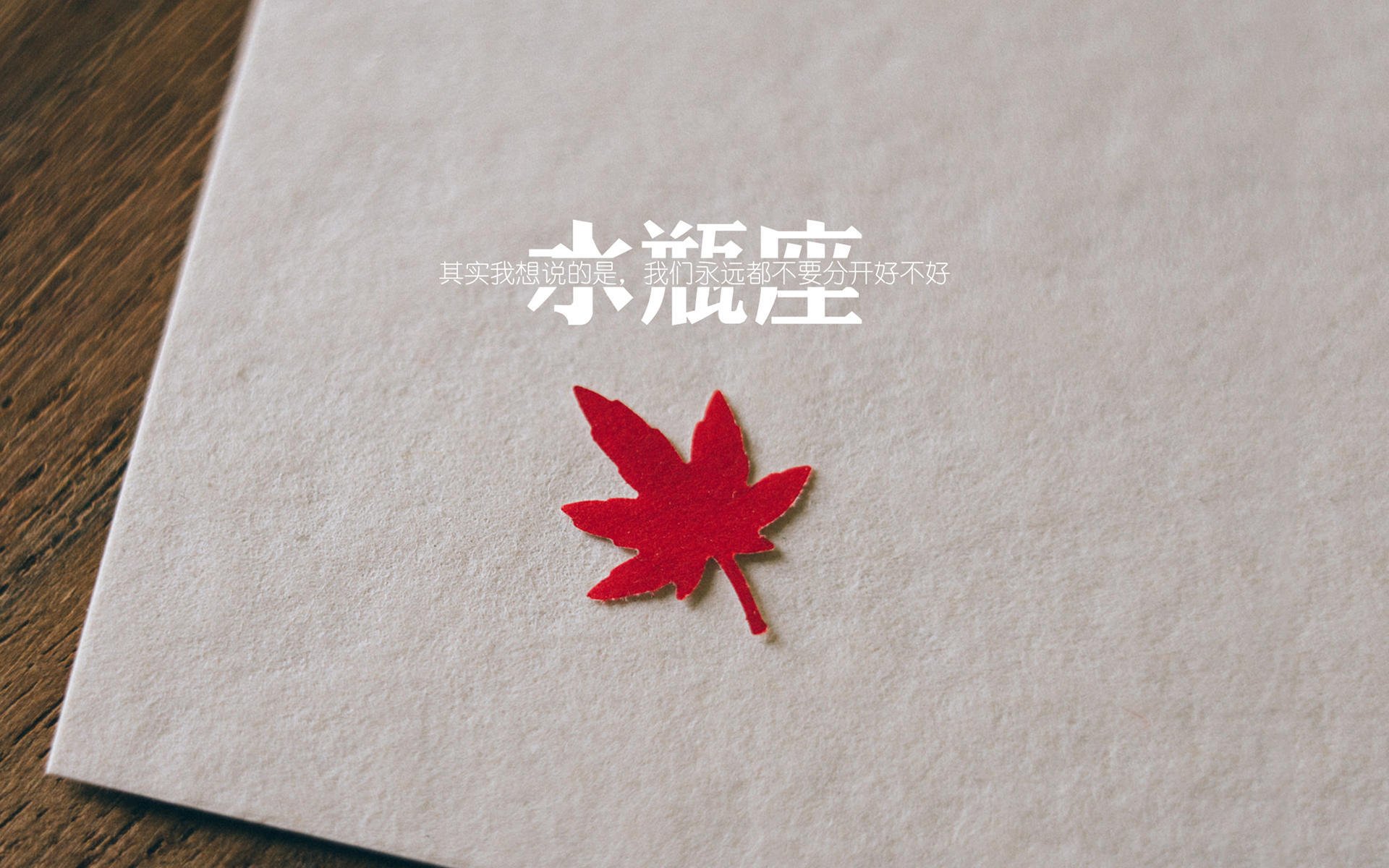 中国跳水队首次包揽全部金牌，中国跳水队拿了几块金牌